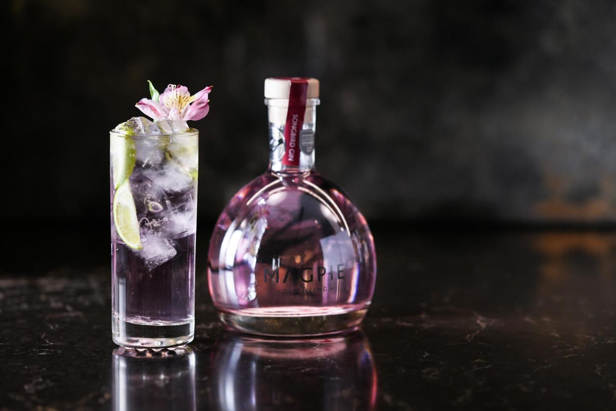 谭沃思发电厂利吉斯酒店 塔姆沃思 外观 照片 A bottle of Pink Gin